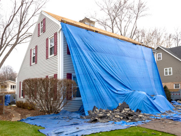 Best Hoarding Cleanup  in Florissant, MO