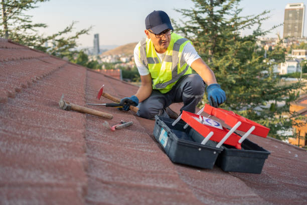 Best Yard Waste Removal  in Florissant, MO